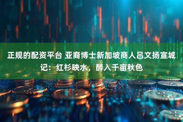 正规的配资平台 亚裔博士新加坡商人吕文扬宣城记：红杉映水，醉入千亩秋色