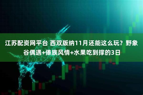 江苏配资网平台 西双版纳11月还能这么玩？野象谷偶遇+傣族风情+水果吃到撑的3日
