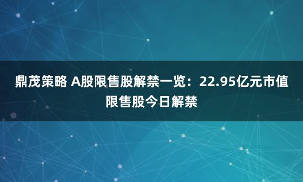 鼎茂策略 A股限售股解禁一览：22.95亿元市值限售股今日解禁