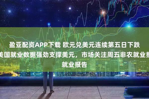 盈亚配资APP下载 欧元兑美元连续第五日下跌，美国就业数据强劲支撑美元，市场关注周五非农就业报告