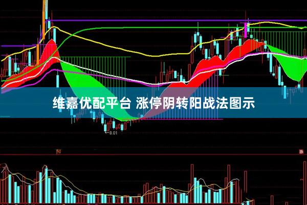维嘉优配平台 涨停阴转阳战法图示