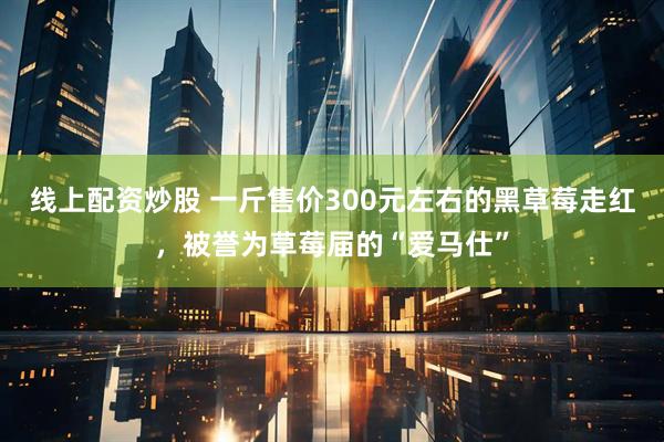 线上配资炒股 一斤售价300元左右的黑草莓走红，被誉为草莓届的“爱马仕”